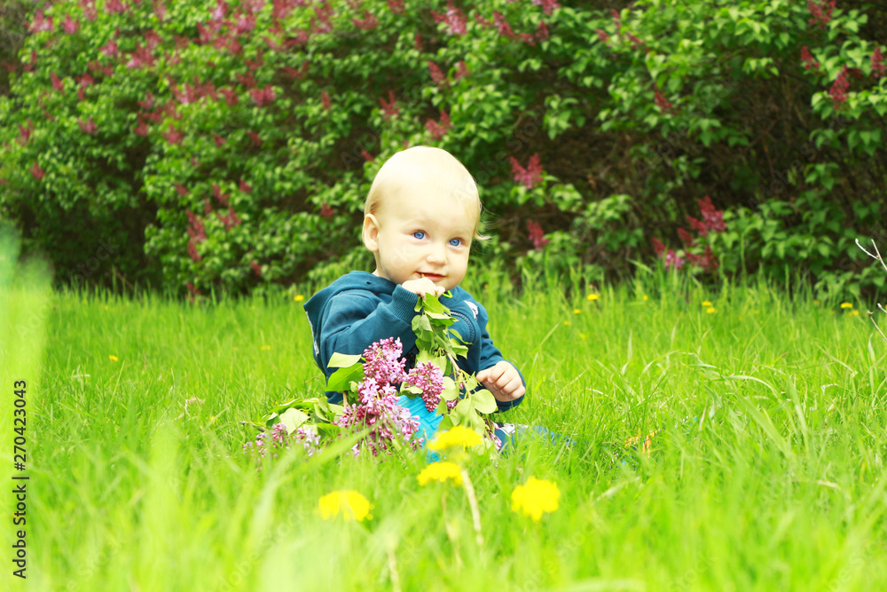 A beautiful blond child with blue eyes is sitting in the green grass. A beautiful blond child with blue eyes is sitting in the green grass.