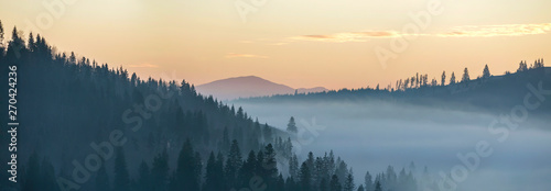 Summer mountain landscape. Morning fog over blue mountain hills covered with dense misty spruce forest on bright pink sky at sunrise copy space background.
