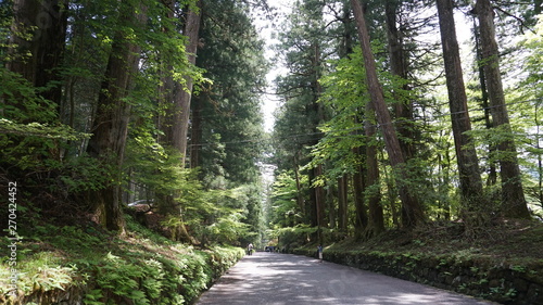 日光東照宮へ続く道