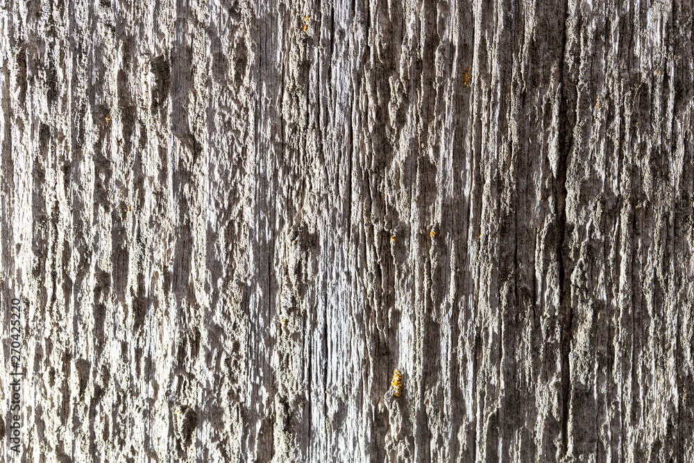 Old wooden board as abstract background Old wooden board as abstract background