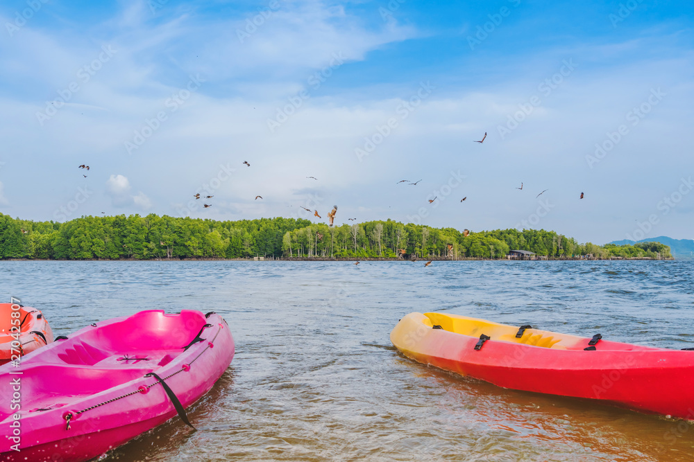 Fototapeta premium Beautiful scenery of the red hawks while flying to find food with kayaks floating in the sea at Bang Chan village (The No-Land Village) in Chanthaburi, Thailand