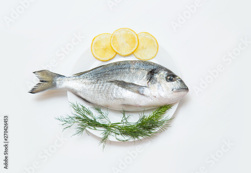 One raw fresh dorado fish in a plate with dill and lemon before cooking.
