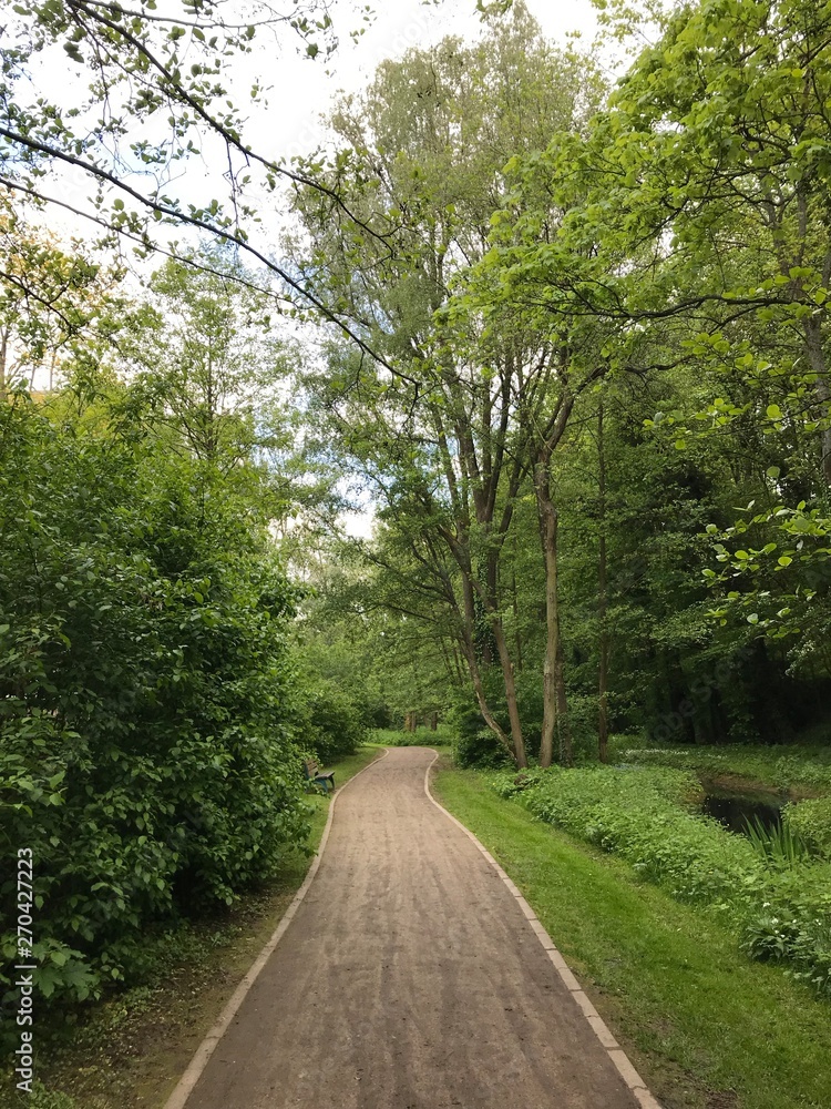 Chemin sous la végétation luxuriante du parc de la Héronnière à Watermael-Boitsfort 