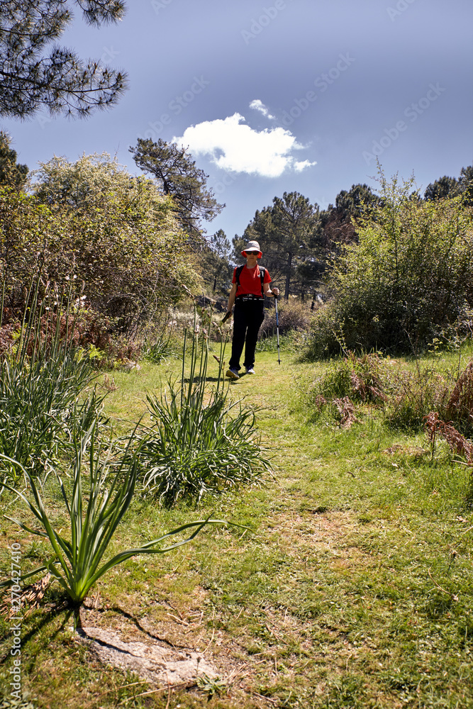 Woman doing trekking in nature