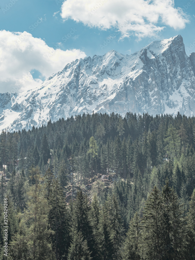 view of snowy mountain summit surrounded alpine forest