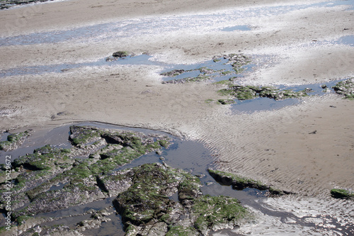 Close up on Beach Rock Pools in Scarborough, Yorkshire, UK