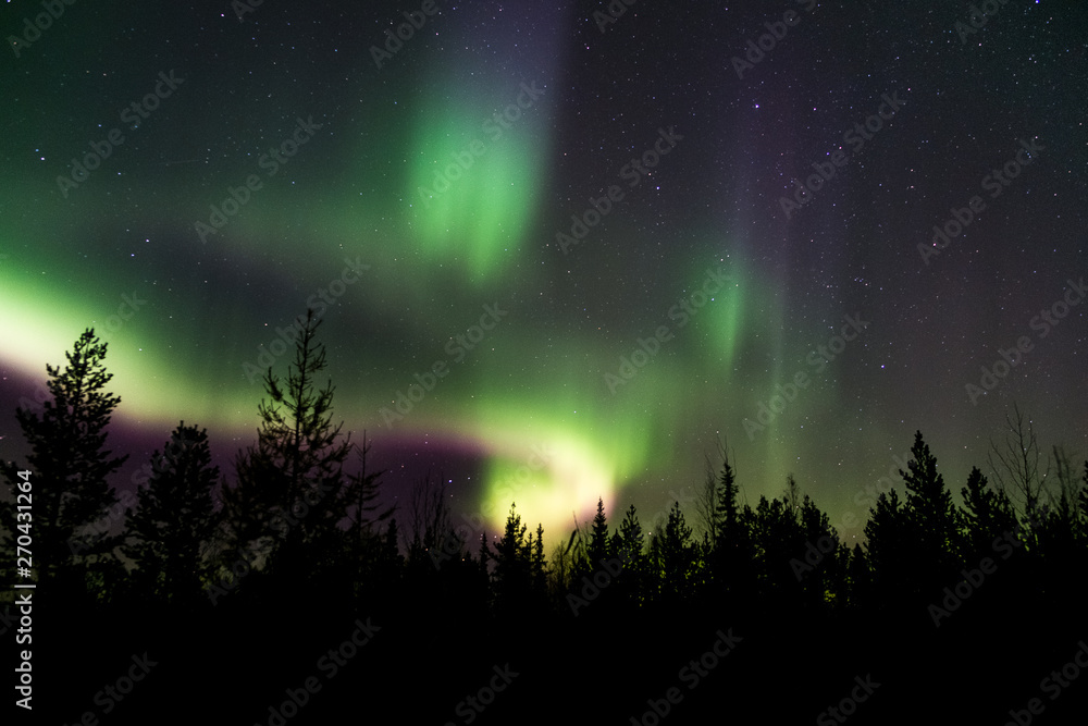 Aurora borealis in northern night sky