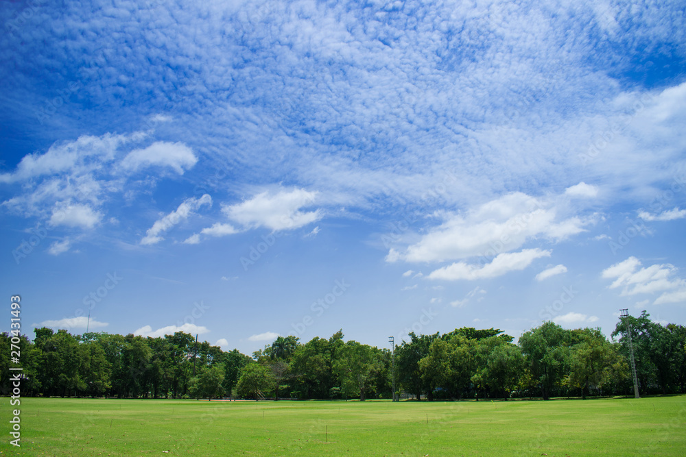 Landscape of grass and beautiful sky. Use as natural background.