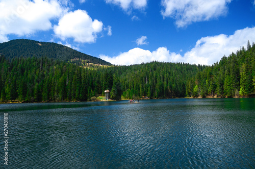 The reflection of the blue sky, mountains and pine forest in the Alpine Lake Synevyr in Ukrainian Carpathians