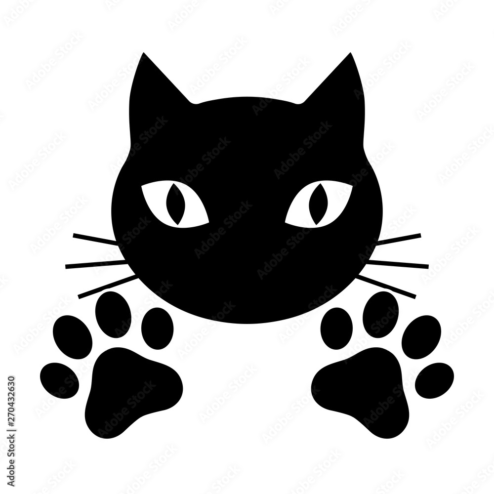 Fototapeta premium Muzzle of a cat with paws on a white background