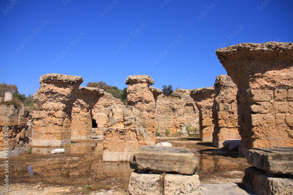 dans les ruines de Carthage