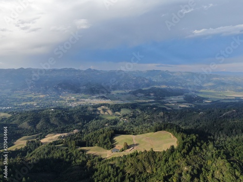 Aerial view of the verdant hills with trees in Napa Valley during summer season. Napa County  in California   s Wine Country  Part of the North Bay region of the San Francisco Bay Area. Vineyard area.