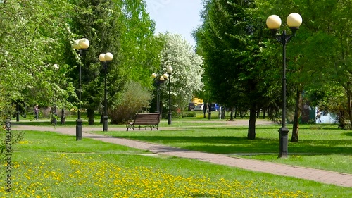 Spring Sunny Park with walking people.