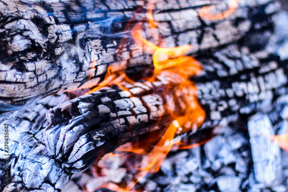 Burning logs in the grill.