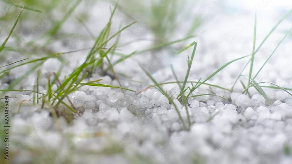 spring ice hail on green grass. Bad weather close-up spring ice hail on green grass. Bad weather close-up
