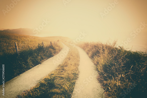 vintage landscape background with a path