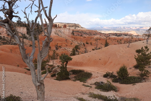 Road trip état unis , bryce canyon,utah