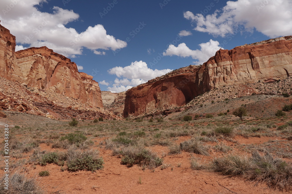 Fototapeta premium Paysage de capitol reef national park, road trip état unis,utah