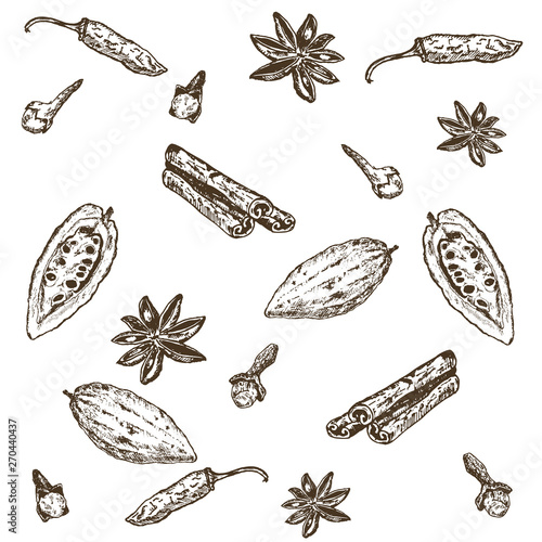 Hand drawn seamless pattern of spices set. Hot pepper, cardamon, anise star, cinnamon, cocoa bean and cloves. Spices vector illustration isolated on white background.