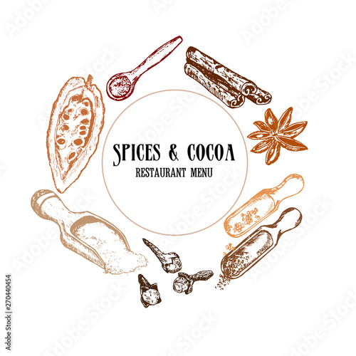 Hand drawn sketch of cocoa beans spices set. Hot pepper, cardamon, anise star, cinnamone and cloves. Spices vector illustration isolated on white background with lettering. photo