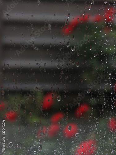 Wallpaper Mural rainy window Torontodigital.ca