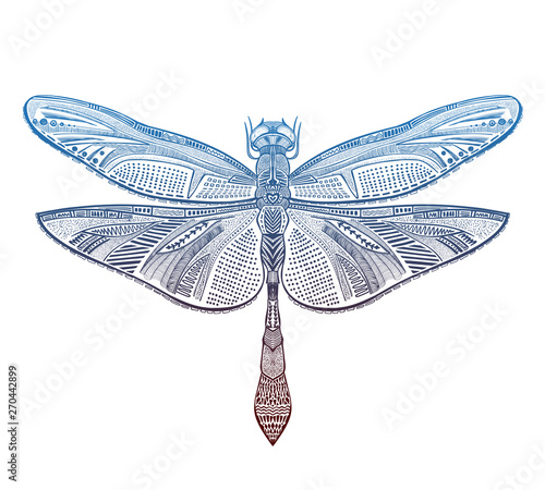 Art dragonfly vector illustration