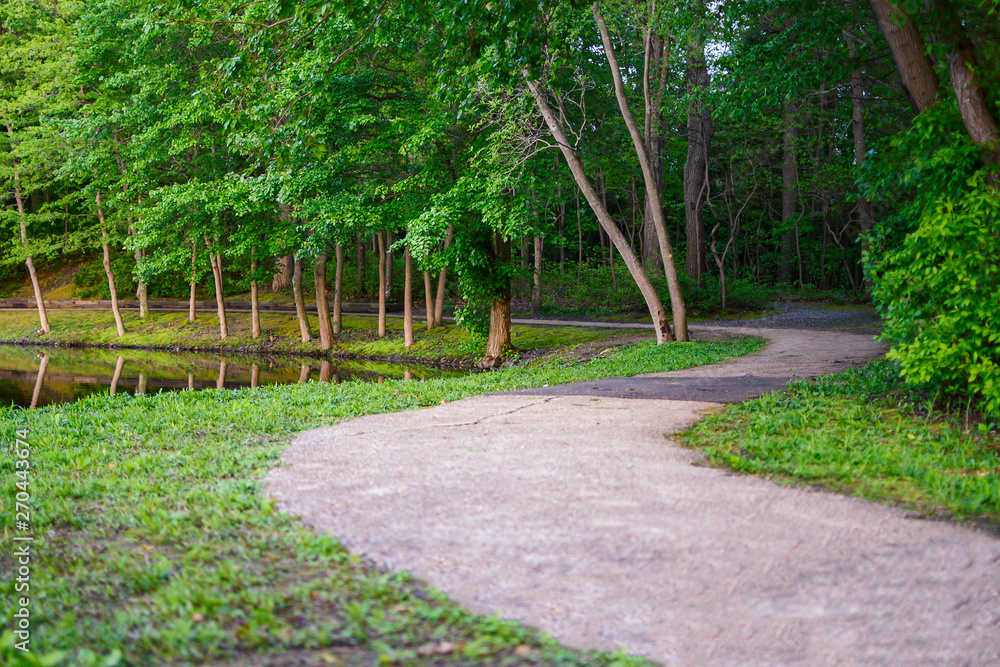 Obraz premium path in the park