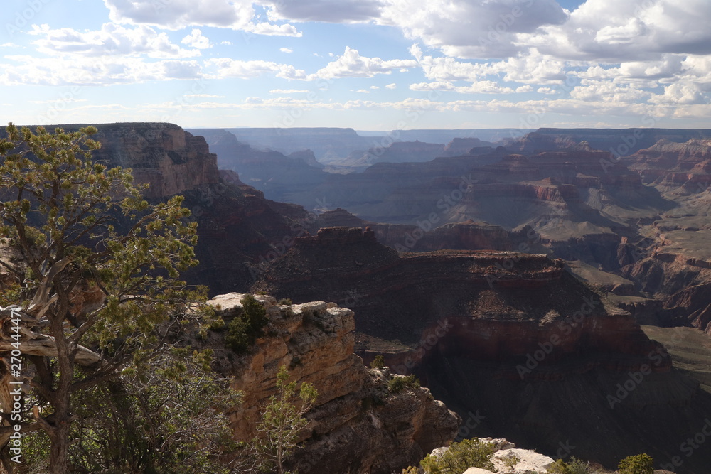 Vue panoramique du grand canyon ,état unis , Arizona
