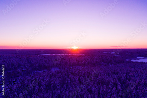 Aerial view of a gold sunset over winter snow-covered pine forest. Winter forest texture. Aerial view. Aerial drone view of a winter landscape. Snow covered forest. Dramatic gold sunset sky.