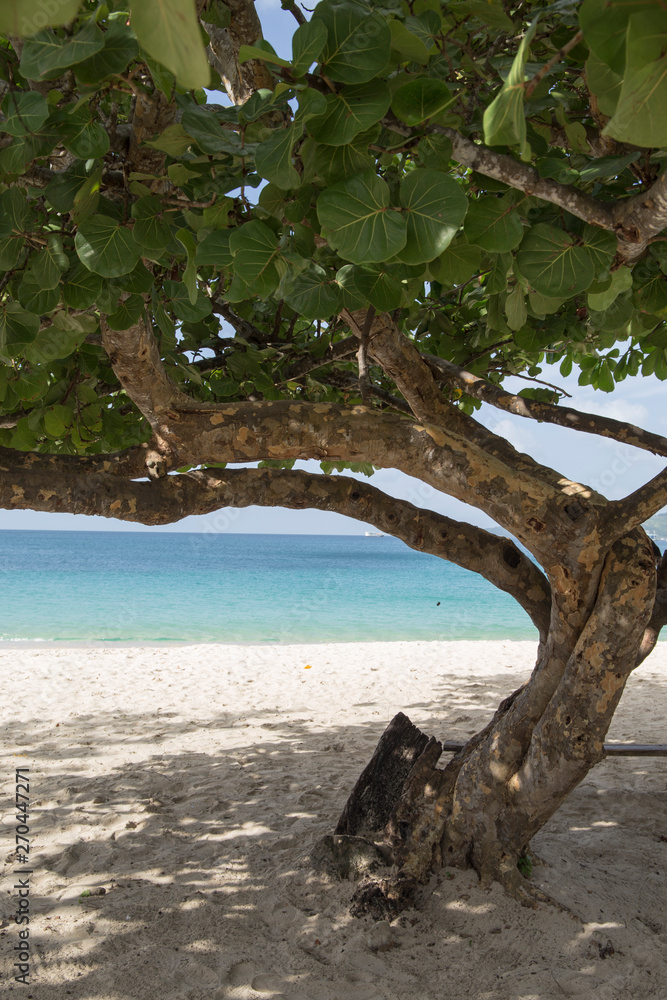 Grand Anse beach Grenada Caribbean sea