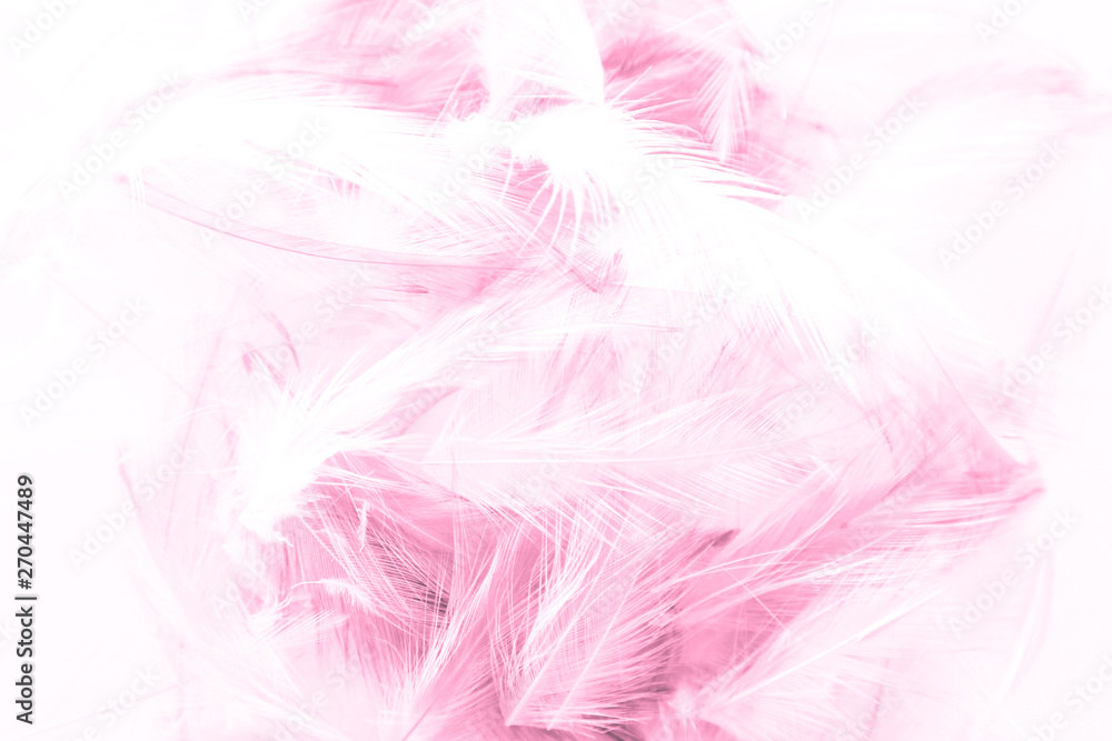 Beautiful abstract colorful white and pink light feathers wall pattern textures background and wallpaper art Beautiful abstract colorful white and pink light feathers wall pattern textures background and wallpaper art
