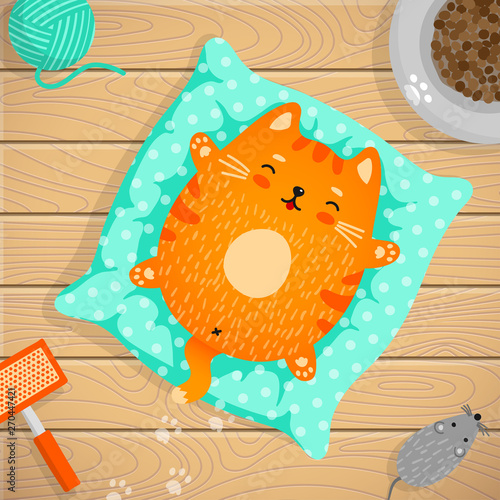 Red cat sleeping on pillow at home
