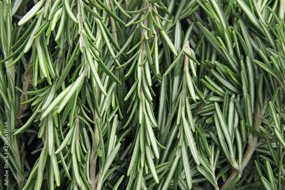 Fresh rosemary twigs as background, top view. Aromatic herb - obrazy, fototapety, plakaty 