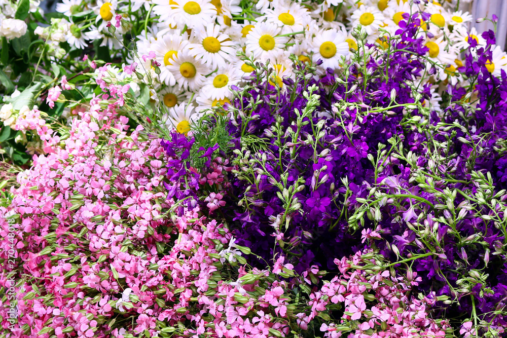 Naklejka premium Different wild flowers bunches.