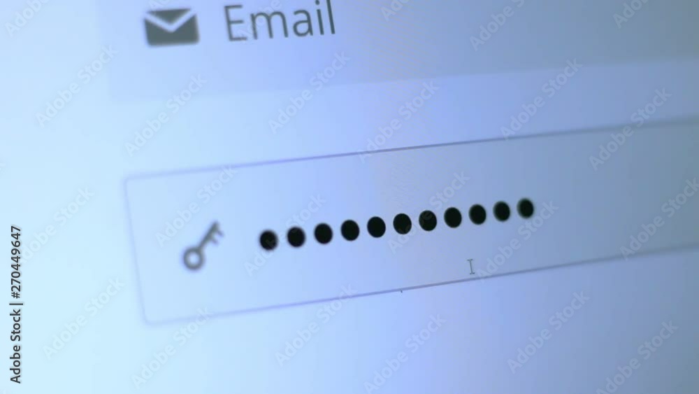 Enter the password for the website in the Internet. Encryption screen With flashing cursor. Enter the password for the website in the Internet. Encryption screen With flashing cursor.