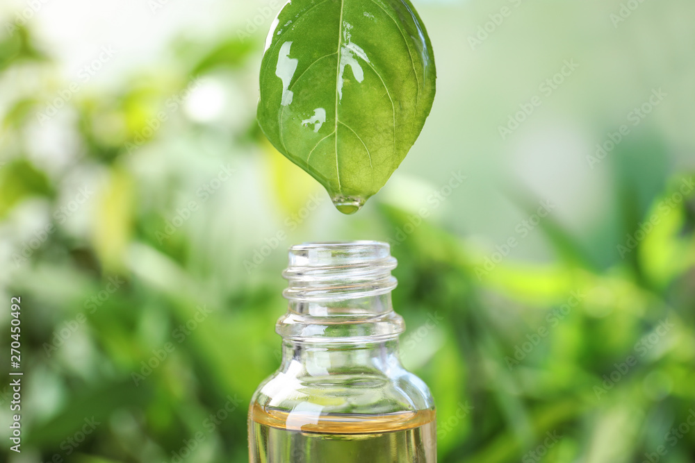 Essential oil dripping from basil leaf into glass bottle on blurred background, closeup Essential oil dripping from basil leaf into glass bottle on blurred background, closeup