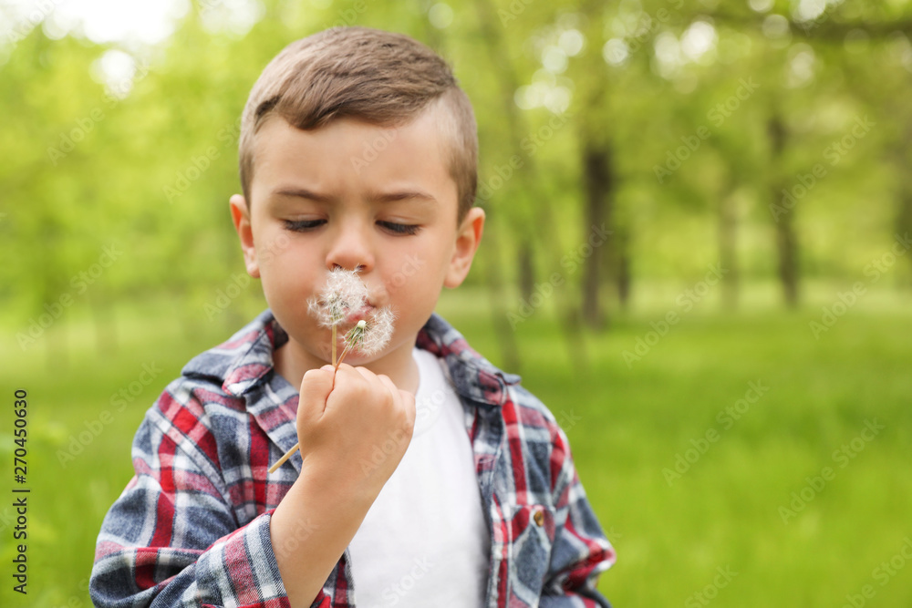 Healthy little boy blowing on dandelions outdoors, space for text. Allergy free concept Healthy little boy blowing on dandelions outdoors, space for text. Allergy free concept