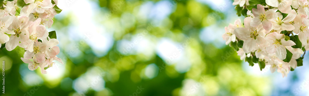 Obraz premium image of a flower tree in a garden close up