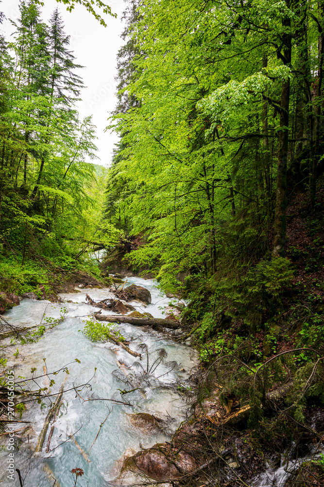 Obraz premium A lot of Waterfalls in the Wimbacklamm in Bavaria Berchtesgaden with stones and green plants and trees