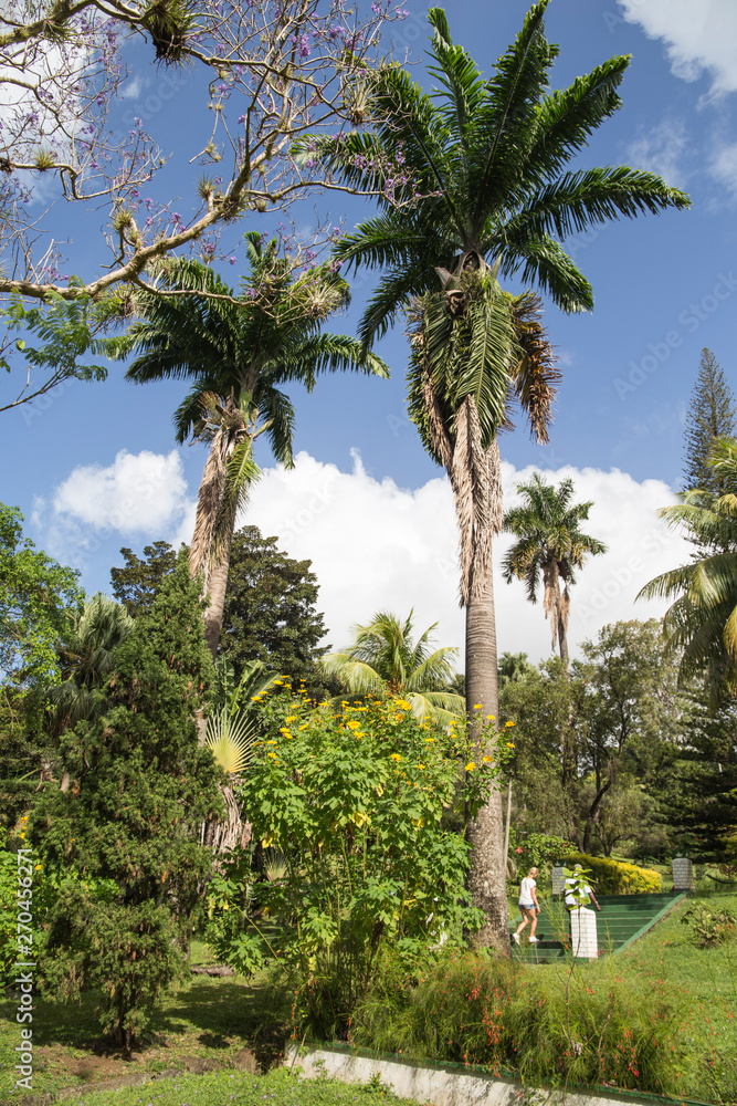 The St Vincent and the Grenadines Botanic Gardens is located in Kingstown