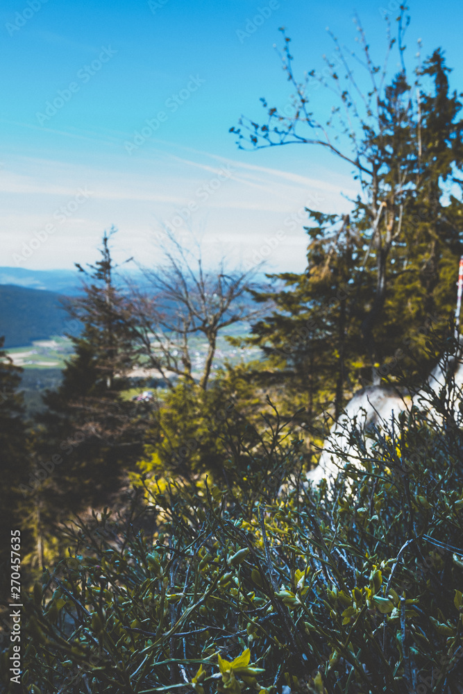 View from the top of a mountain into the valley with clouds in the blue sky and beautiful green trees and lots of rocks View from the top of a mountain into the valley with clouds in the blue sky and beautiful green trees and lots of rocks