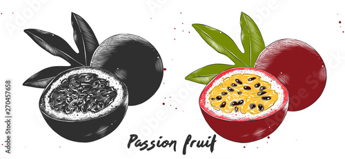 Vector engraved style illustration for posters, decoration and print. Hand drawn etching sketch of passion fruit in monochrome and colorful. Detailed vegetarian food linocut drawing.