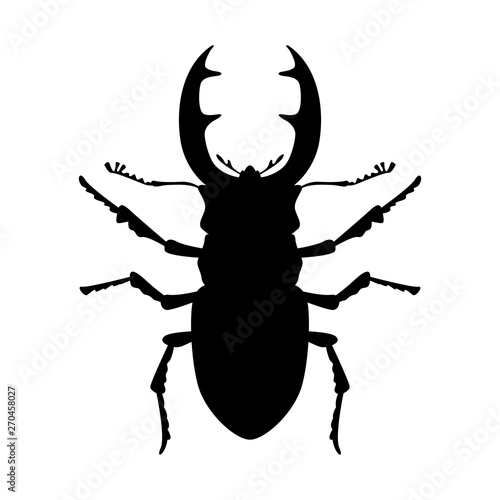 stag beetle, vector illustration,black silhouette