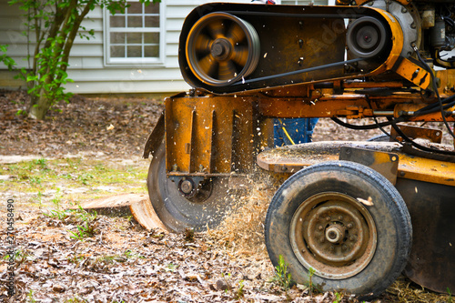 Canvas Print Stump Grinding