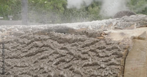 Sawdust from a large tree that is sawed with a rotating saw.