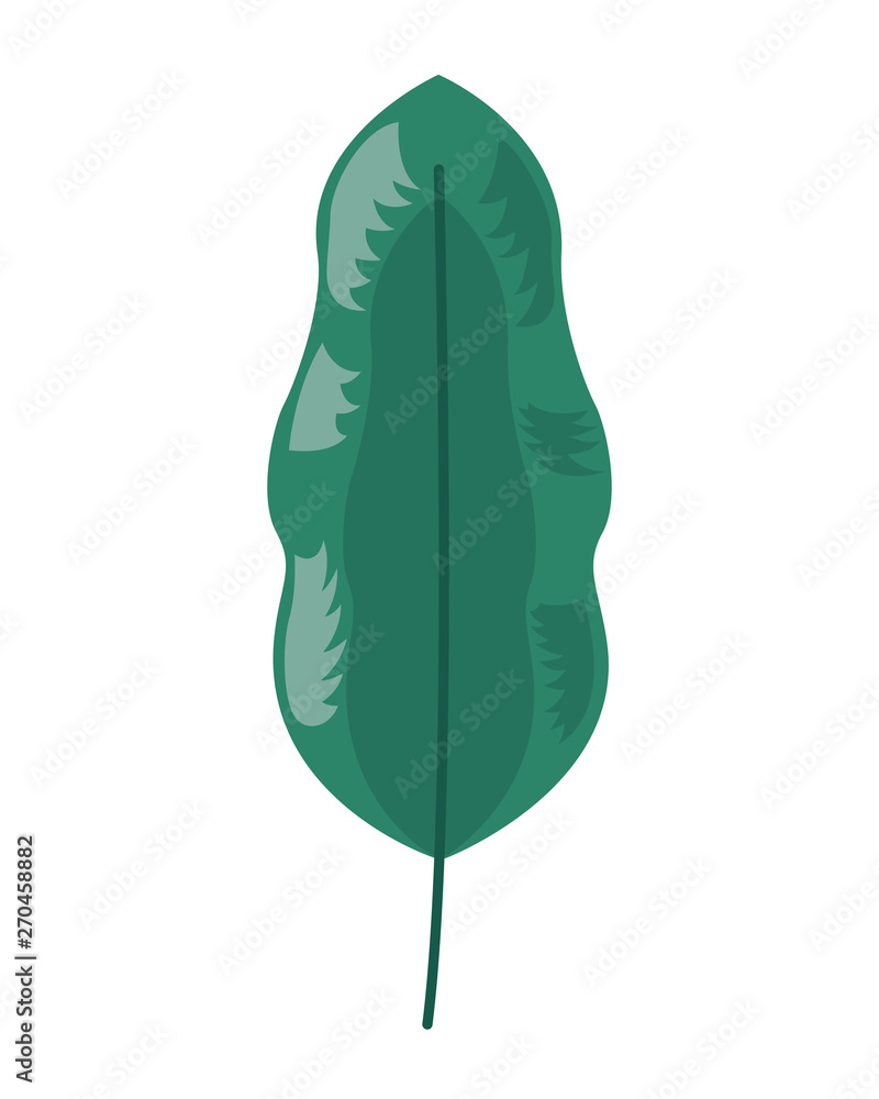leaf foliage natural botanical leaf foliage natural botanical
