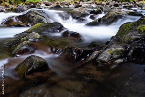 A fast flowing shallow creek runs over algae covered pebbles and rocks in Olympic National Park, Washington State, USA, long exposure to add blurred motion to the water, nobody in the image
