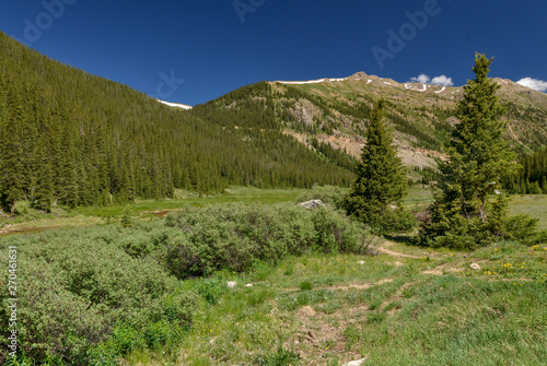 trail along flower meadows in Lake Creek Valley near Independence Pass (Lake County, Colorado, USA)