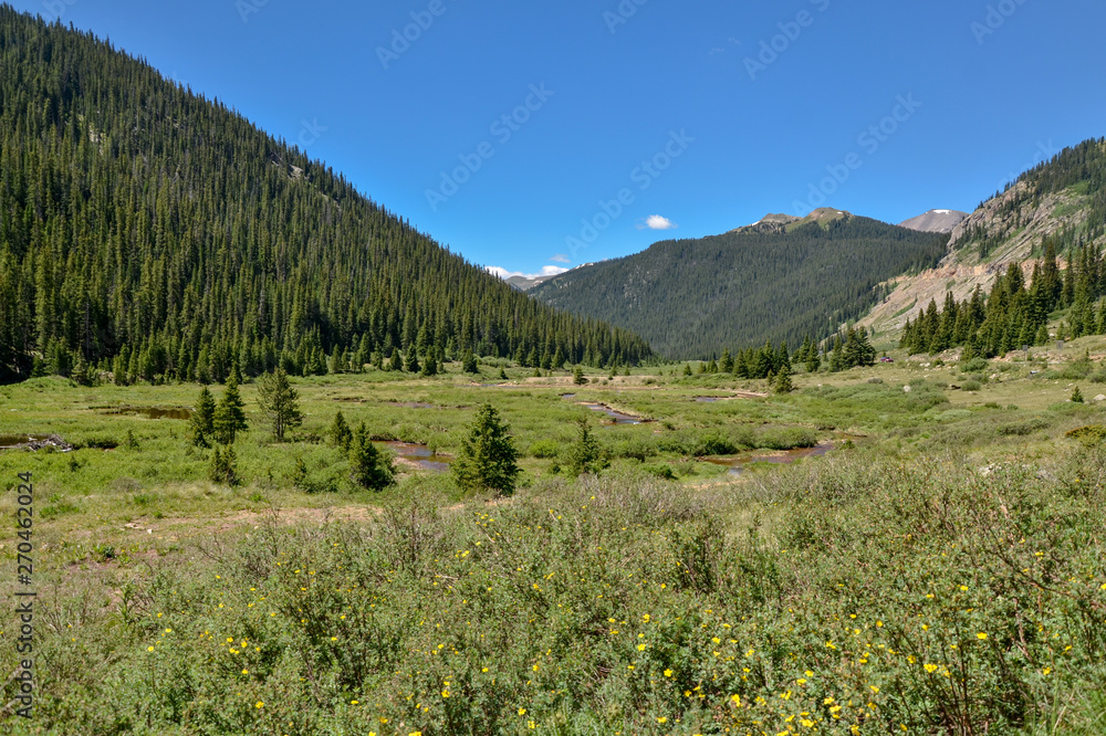 Lake Creek Valley in Rocky Mountains scenic view (Lake County, Colorado, USA)