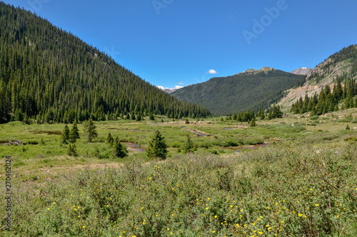 Lake Creek Valley in Rocky Mountains scenic view  Lake County  Colorado  USA 